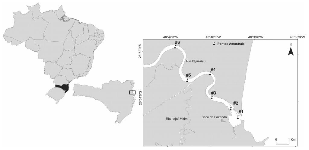 Leite & Pezzuto: Efeito de enchente sobre decápodos estuarinos Figura 1 - Localização dos pontos de coleta no estuário do rio Itajaí-Açu (SC) entre maio de 2008 a julho de 2009.