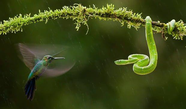 Semear ideias ecológicas e plantar sustentabilidade é ter a