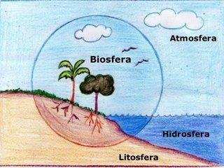 A Biosfera ou ecosfera É o conjunto de todos os ecossistemas terrestre; A esfera da vida não ultrapassa 13km de espessura; Oferece elementos fundamentais a existência dos seres vivos; Em seu sentido