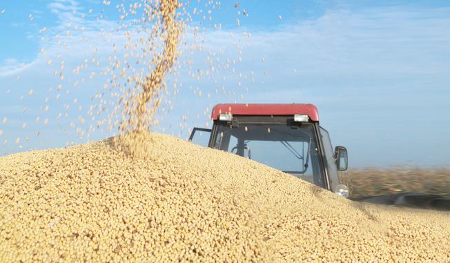 RESULTADOS E DISCUSSÃO ESTIMATIVAS DE VALOR DO PIB DO AGRONEGÓCIO DE MG Com o crescimento de 1,03% em agosto/16, o PIB do agronegócio mineiro estimado para o ano é de R$ 197,147 bilhões (a preços de