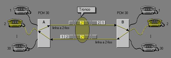 Neto PCM