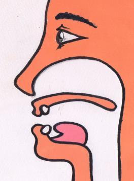 A língua também está posicionada na parte da frente, (próxima, porém sem tocar os dentes), porém mais baixa que a da figura esquerda. II.