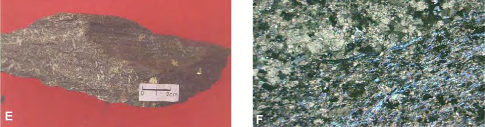 amostra do basalto hidrotermalizado X2 com pirita porfiroblástica