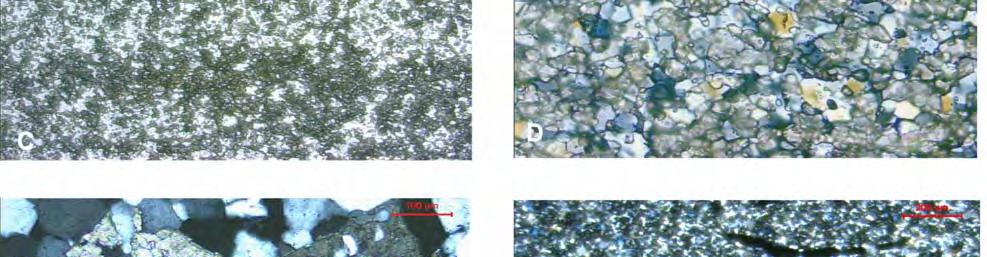 níveis mais escuros de siderita+matéria carbonosa e mais claros quartzo-carbonáticos