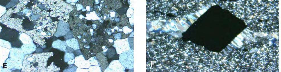 lobados; E - carbonato recristalizado entre grãos de quartzo poligonizado com aspecto