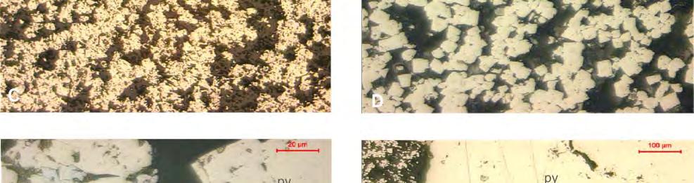 fotomicrografia da pirita fina em matriz quartzo-carbonática (MC-60); D