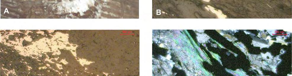 FFB; B e D - fotomicrografias de pirrotita alongada em zona de