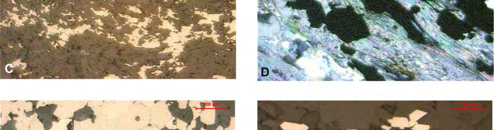 agregados de pirrotita em matriz quartzo-carbonática; E -