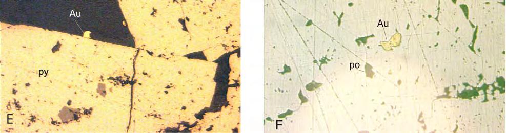 Observar a superfície porosa do ouro (MC-3); E - ouro intercescido com