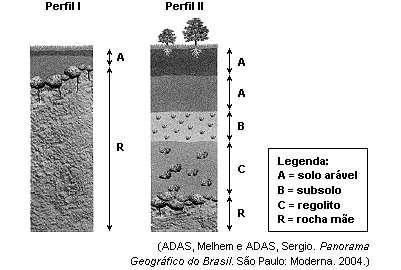5. Analise os dois perfis de solo a seguir. Identifique qual dos dois perfis possui o solo mais desenvolvido. Justifique sua resposta.