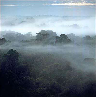 Amazônia