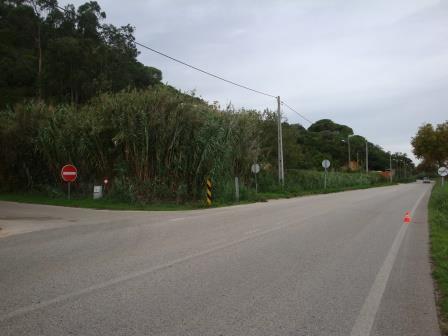 º km Na N242 (sentido Famalicão - Nazaré) 12,70 m após o sinal de estrada com prioridade existente no final da estrada que vem de Cela