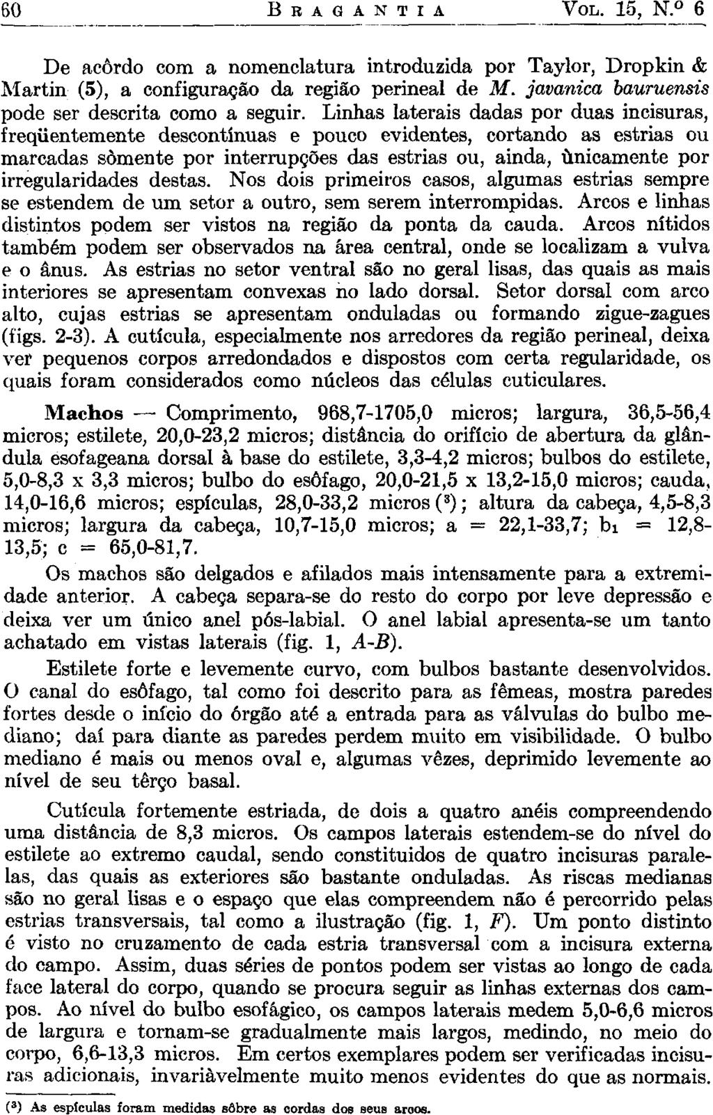 60 B R A G A N U A VOL. 15, N. 6 De acordo com a nomenclatura introduzida por Taylor, Dropkin & Martin (5), a configuração da região perineal de M. javanica bauruensis pode ser descrita como a seguir.