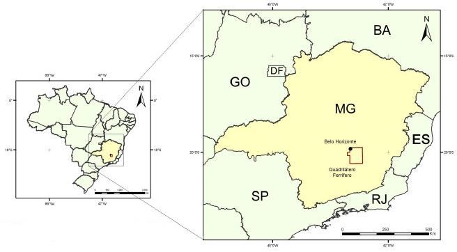 biorremediação, principalmente os acidófilos com potencial oxirredutor, como Cidithiobacillus ferrooxidans, Sulfobacillus sp. e Acidithiobacillus caldus, Silver (1996, p. 39).