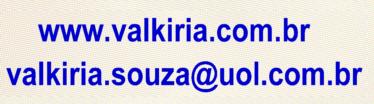 Vip 01 UN BAU ANTIGO ARTESANAL 01 GF WHISKY ESCOCES BALLANTINES 12 ANOS 01 GF ESPUMANTE BRUTT SALTON 750ml 01 GF VINHO TINTO ARGENTINO - UVITA DE PLATA 750 ml 01 CX PANETTONE DE FRUTAS BAUDUCCO 500g