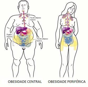 34 Figura 9: Tipos de obesidade. Obesidade central: acúmulo de gordura visceral. Obesidade periférica: acúmulo de gordura na região gluteofemural. Adaptado referência 73.