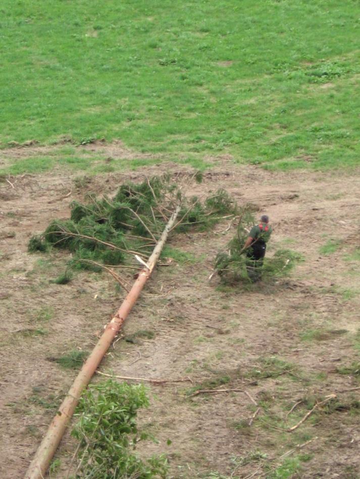 Inventário dos resíduos de exploração florestal (bicadas e ramos) Na última fase de trabalho de campo, as árvores eram abatidas, com o cuidado de as direccionar para uma