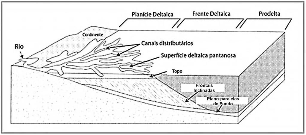 23 b) Frente Deltaica: Na frente deltaica ocorre intensa atividade deposicional.
