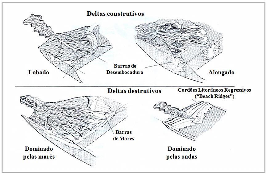 sedimentação é similar a deltas dominados por ondas, porém os corpos de areia se arranjam de forma diferente com características morfológicas distintas.