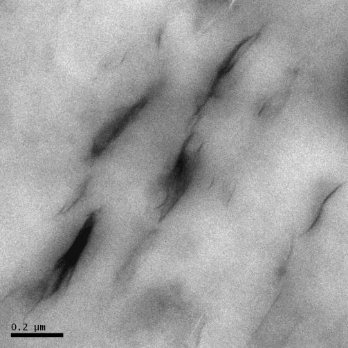 Imagens de MET dos nanocompósitos