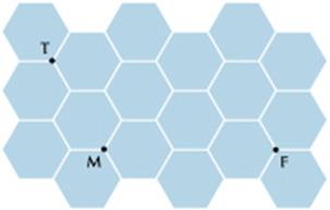 a) v= 12,0km/h b) v = 12,00 km/h c) v = 20,0 km/h d) v = 20, 00 km/h e) v = 36, 0 km/h 6. (UERJ) Um piso plano é revestido de hexágonos regulares congruentes cujo lado mede 10 cm.