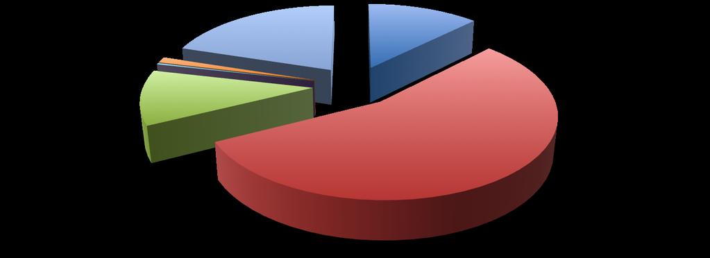 MUNICÍPIO DO NAMIBE kwh CONSUMIDOS ENERGIA ELÉCTRICA GASÓLEO GASOLINA PETRÓLEO ILUMINANTE GÁS BUTANO CARVÃO LENHA 1% 18% 13% 7% 11%