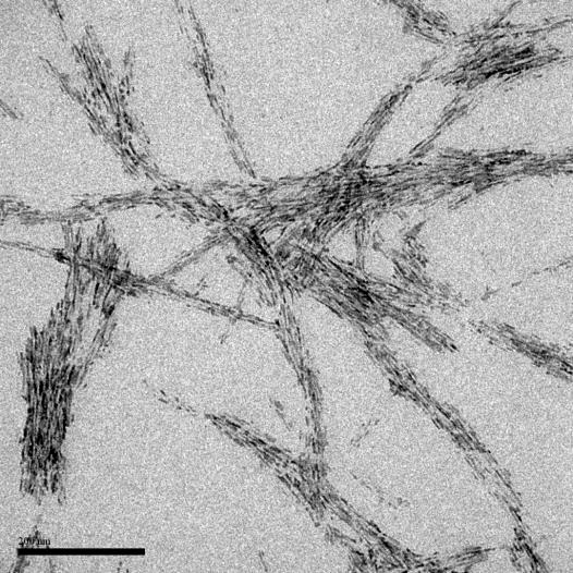 CONCLUSÕES Foi possível obter nanowhiskers de celulose a partir das fibras branqueadas da araruta, com boa estabilidade térmica e um bom índice de cristalinidade.