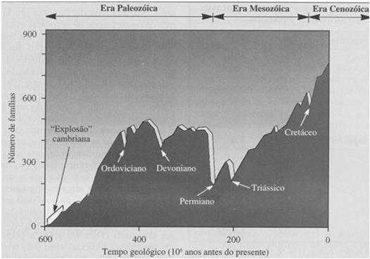 Diversidade biológica: macroevolução