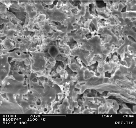 M. F. Pinto. et al. / Cerâmica 51 (2005) 225-229 227 A B Figura 2: Micrografias obtidas por MEV das amostras sinterizadas usando um ciclo de queima tradicional: (a) 1100 ºC e (b) 1140 ºC.