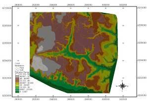 RESULTADOS E DISCUSSÃO: Os resultados da modelagem espacial automatizada da bacia do rio Cuiá, através de técnicas de geoprocessamento e do uso da extensão AGWA no software Arcview GIS, são mostrados