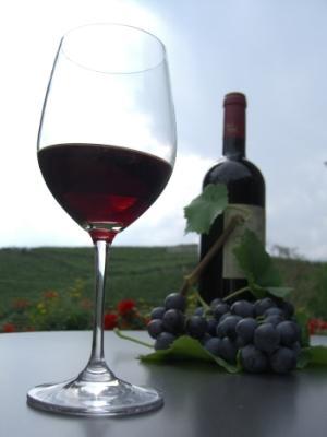 Produção de Vinho Levedura Saccharomyces cerevisiae que existe na casca das uvas.