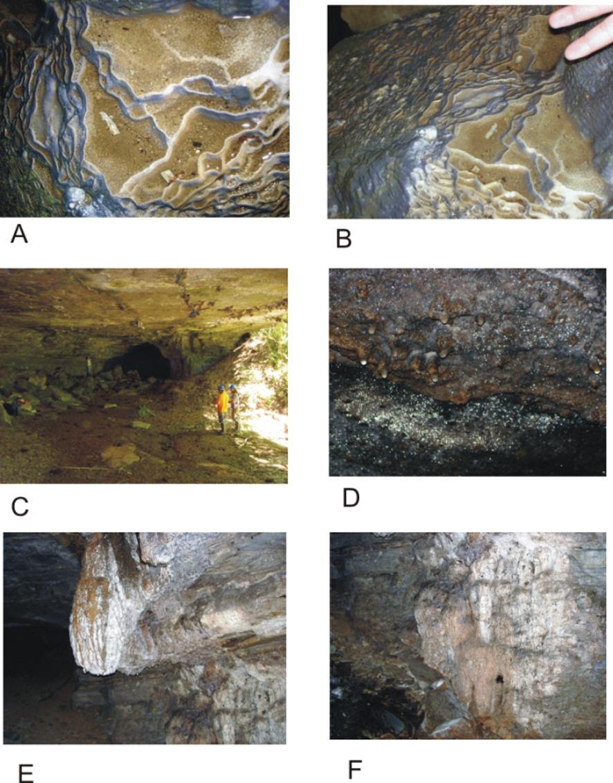 No interior da caverna foram constatados os seguintes ornamentos: (Figura 04): Cascatas de rocha e outros depósitos nas paredes da caverna.