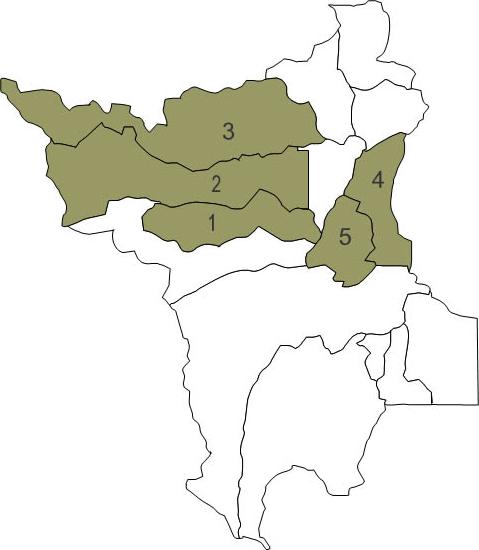 128 Destro deste critério encontra-se cinco municípios, sendo eles: Alto Alegre ( 79 mil cabeças), Amajari (65 mil cabeças), Cantá (60 mil cabeças), Mucajaí (54,1 mil cabeças) e Bonfim (50 mil
