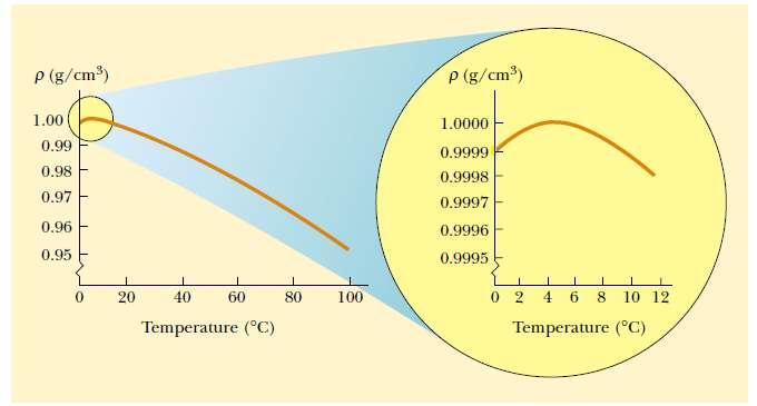 Dilatação Térmica III Quando a temperatura aumenta de 0 0 C para 4 0 C, a água sofre contração e portanto sua densidade aumenta.
