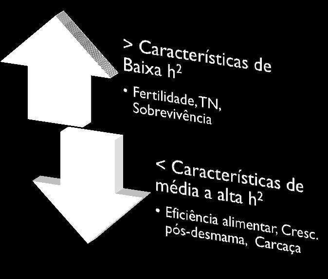 descendentes em relação aos pais