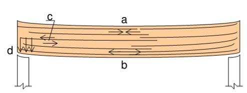 Flexão em Peças de Madeira Na flexão simples, ocorrem quatro tipos diferentes de solicitações: a) Compressão paralela às fibras, no banzo superior, para momentos positivos.