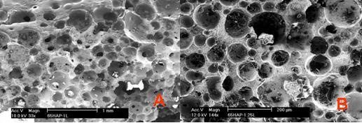 7 Figura 2. Micrografia mostrando poros não interconectados para 70% de Hap na figura da esquerda (aumento de 154x) e poros interconectados para 68% de Hap na figura da direita (aumento de 144x).