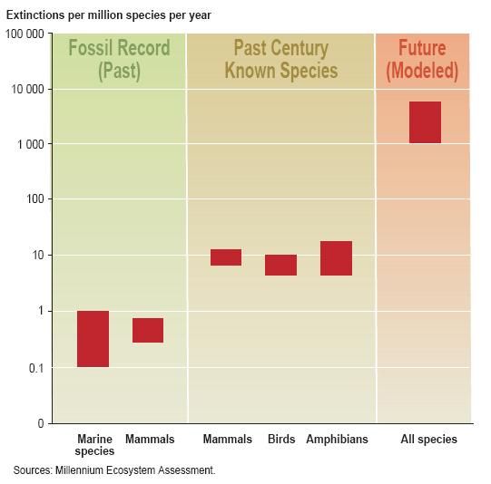 Extinção de espécies Entre 10 e 30% das espécies de mamíferos, aves e anfíbios estão ameaçadas de extinção.