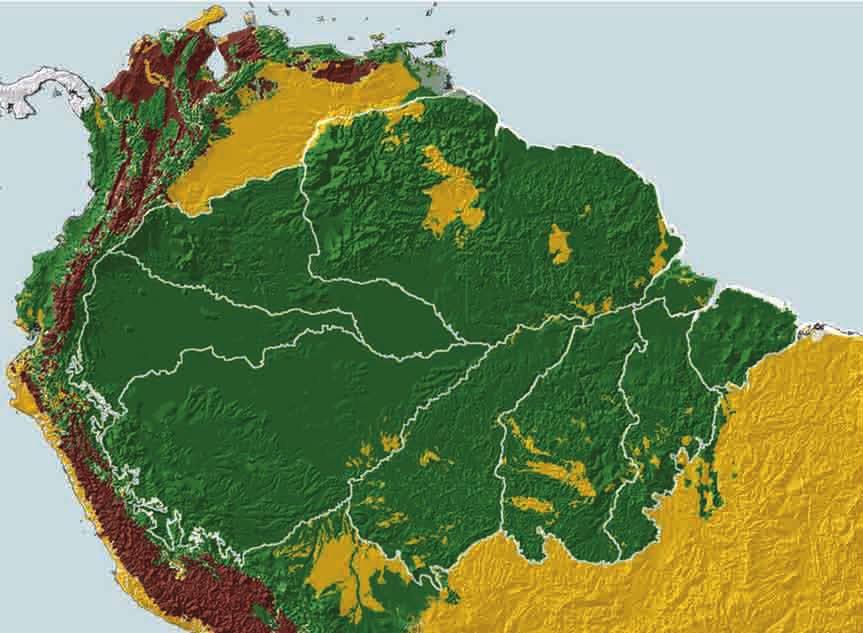 Padrões e Processos Biogeográficos na Amazônia 191 Guiana Imeri Napo Belém Inambari Rondônia Tapajós Xingu Figura 12.1 Áreas de endemismo identificadas para vertebrados terrestres na Amazônia.