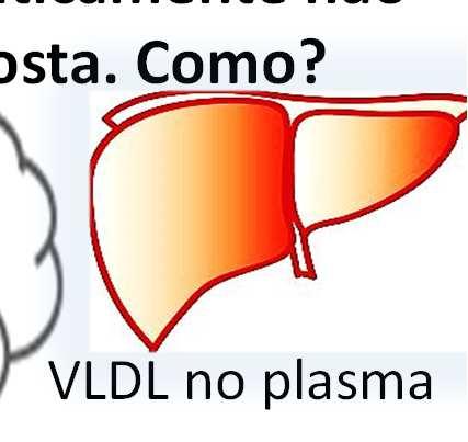 A maioria das atividades inclui exercícios de vários tipos (anaeróbico, aeróbico e misto), mas é útil fazer a distinção entre exercício aeróbico e anaeróbico.