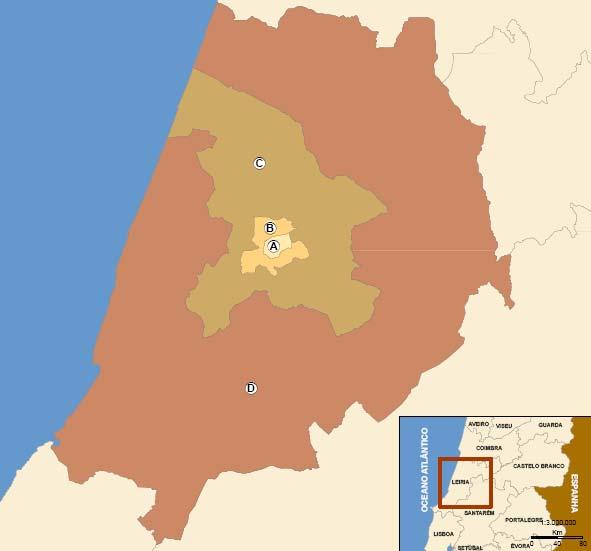 Diagnóstico [10] Matriz OD (4) Importância da zona urbana central como destino Peso maior da cidade enquanto destino face ao resto município Importância da região envolvente ao município de Leiria