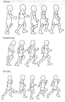 Aprendizagem e Desenvolvimento Humano Fase dos movimentos fundamentais (2 aos 7 anos) Aparecimento de várias formas de movimentos como correr, saltar, arremessar, chutar, receber De extrema