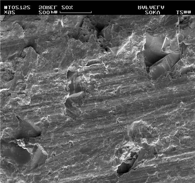 No caso de má aderência, as partículas, mesmo no inicio do polimento sofrem Figura 8. MEV da superfície de desgaste da coroa comercial à base do sistema sorel 20%p Si. Figura 6.