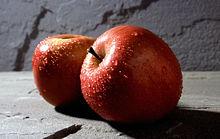 Dois tipos fundamentais de relação causa-efeito! Causalidade sequencial ( per accidens ):! A maçã surge numa árvore, a macieira! A macieira surge de uma semente! A semente surge numa maçã!