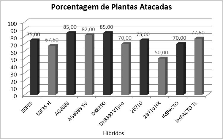 1º ENCONTRO TÉCNICO SOBRE AS CULTURAS DA SOJA E DO MILHO NO NOROESTE PAULISTA 79 híbridos transgênicos tiveram menor porcentagem de ataque do que suas isolinhas convencionais com exceção do par de