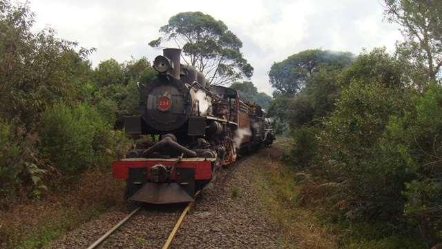 Locomotiva articulada (Mallet) nº 204