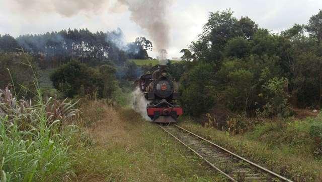 Locomotiva articulada (Mallet) nº 204