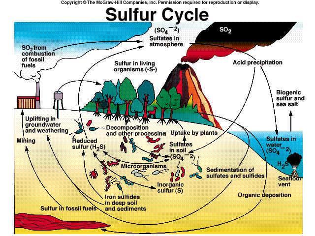 O ciclo