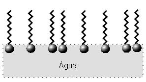 Fig. 2. Essas estruturas são denominadas filmes de Langmuir e são utilizadas em estudos de diversas áreas de interesse, como a nanotecnologia, por exemplo.