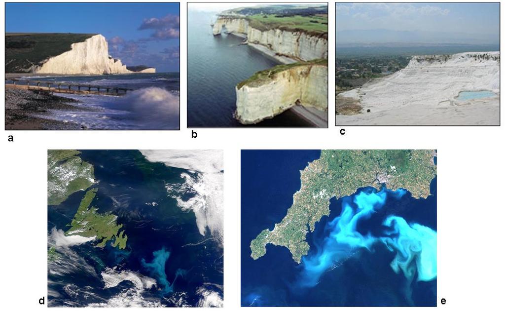 20 Figura 7: Exemplos visuais do registro sedimentar (a-c) e florações oceânicas (d-e) de cocolitoforídeos.